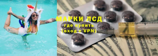 ПСИЛОЦИБИНОВЫЕ ГРИБЫ Новозыбков