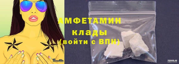 ПСИЛОЦИБИНОВЫЕ ГРИБЫ Новозыбков