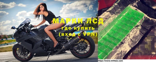ПСИЛОЦИБИНОВЫЕ ГРИБЫ Новозыбков