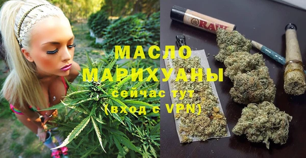 индика Абдулино