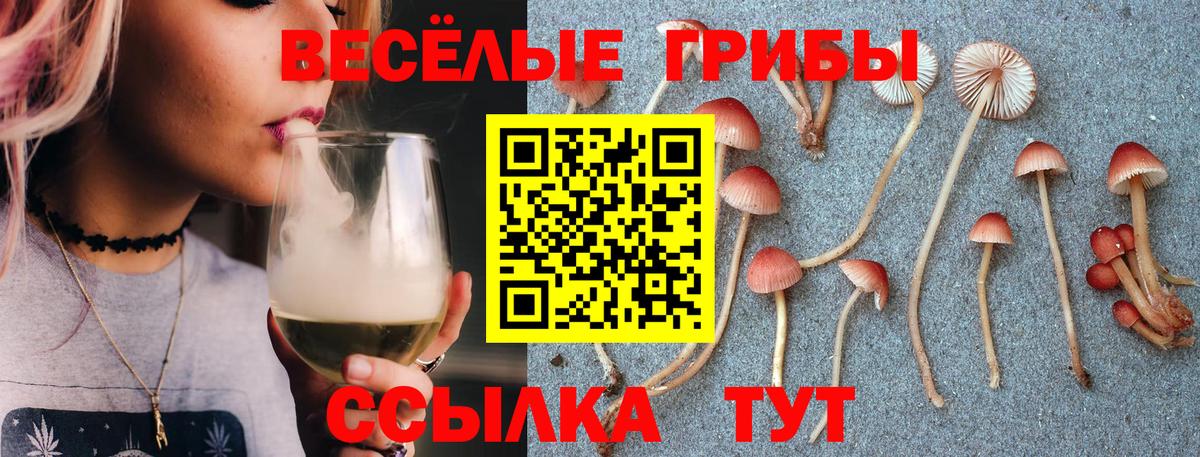 Рязань  Псилоцибиновые грибы ЛСД  Вход с VPN 